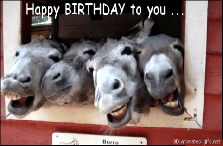  happy birthday funny animals greetings movie pictures free gif