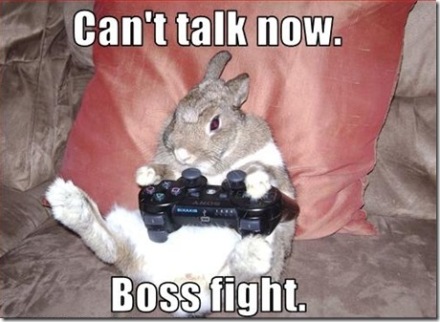 funny-pictures-rabbit-plays-video-games%5B6%5D.jpg